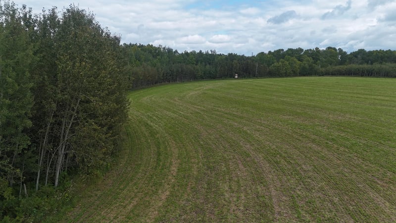TBD Easement Access, Bagley, MN 56621