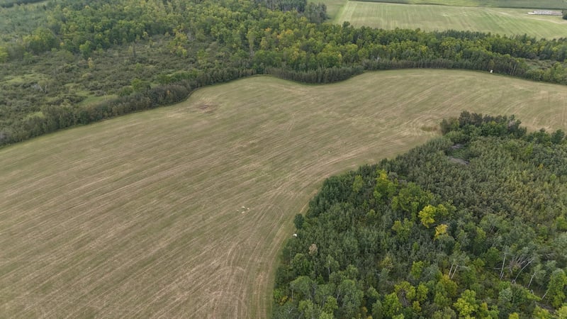 TBD Easement Access, Bagley, MN 56621