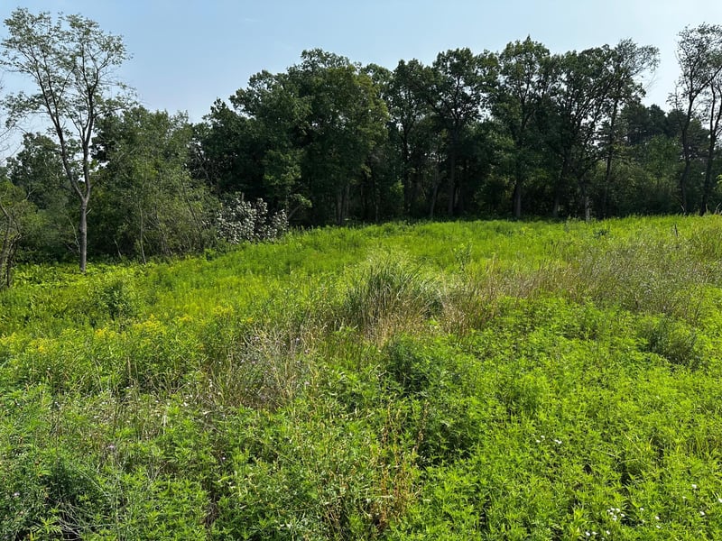 8 Pondview Trl, North Oaks, MN 55127