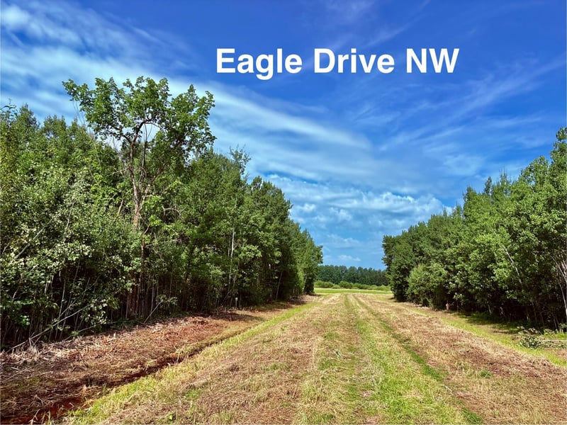 TBD Eagle Dr Nw, Baudette, MN 56623