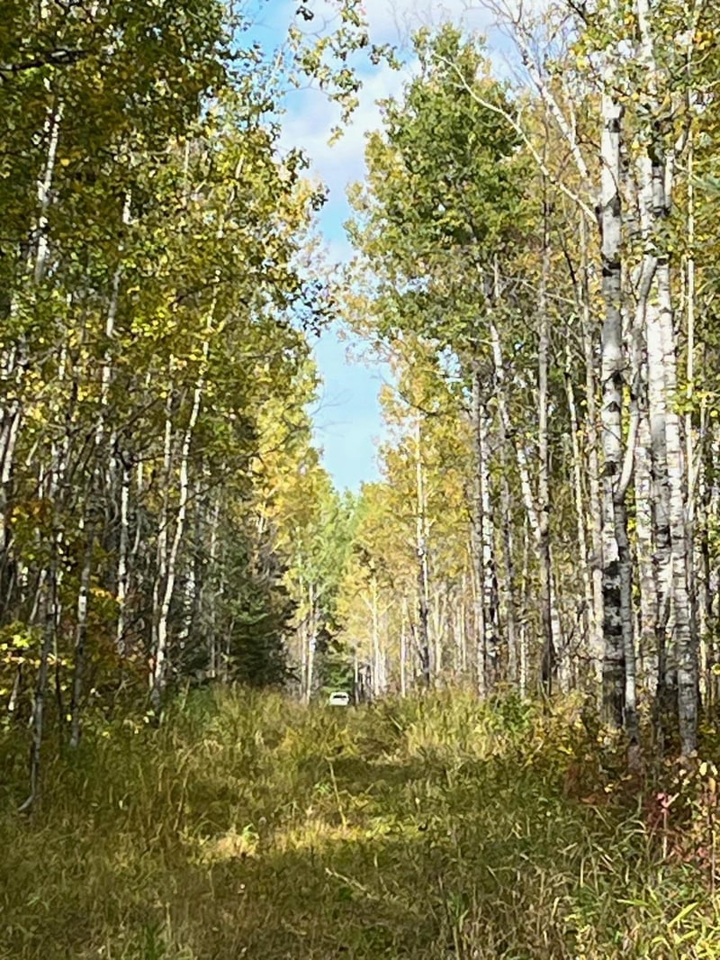TBD W County Road 3, International Falls, MN 56669