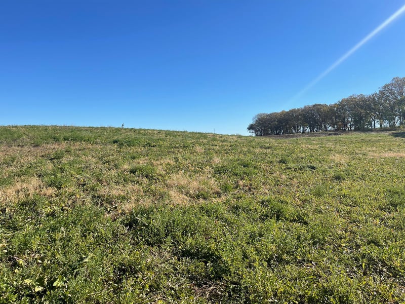 TBD 483rd Ave, Parkers Prairie, MN 56361