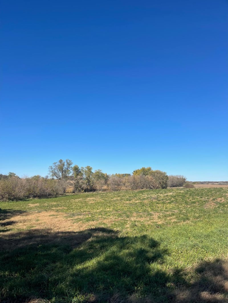 TBD 483rd Ave, Parkers Prairie, MN 56361