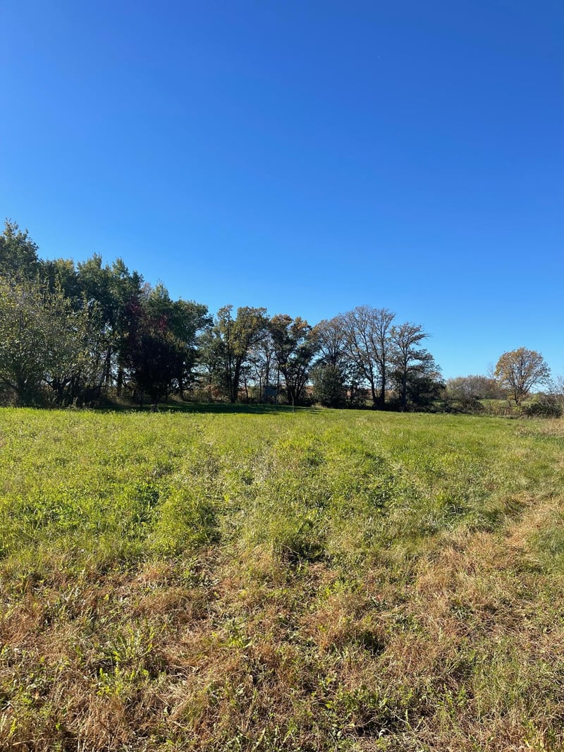 TBD 483rd Ave, Parkers Prairie, MN 56361