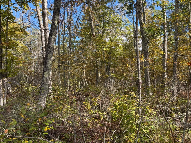 TBD Grove St, Palisade, MN 56469