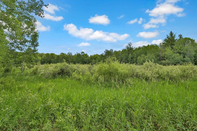 374XX-N40 Hemingway, North Branch, MN 55056
