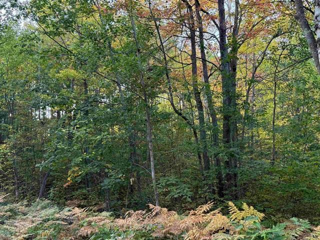000 Old Hwy 2, Iron River, WI 54847