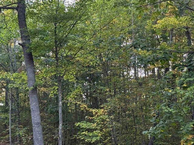 000 Old Hwy 2, Iron River, WI 54847