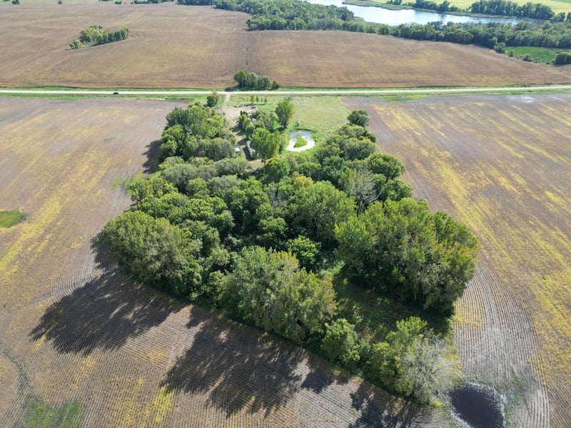 xxx 260th St, Grove City, MN 56243