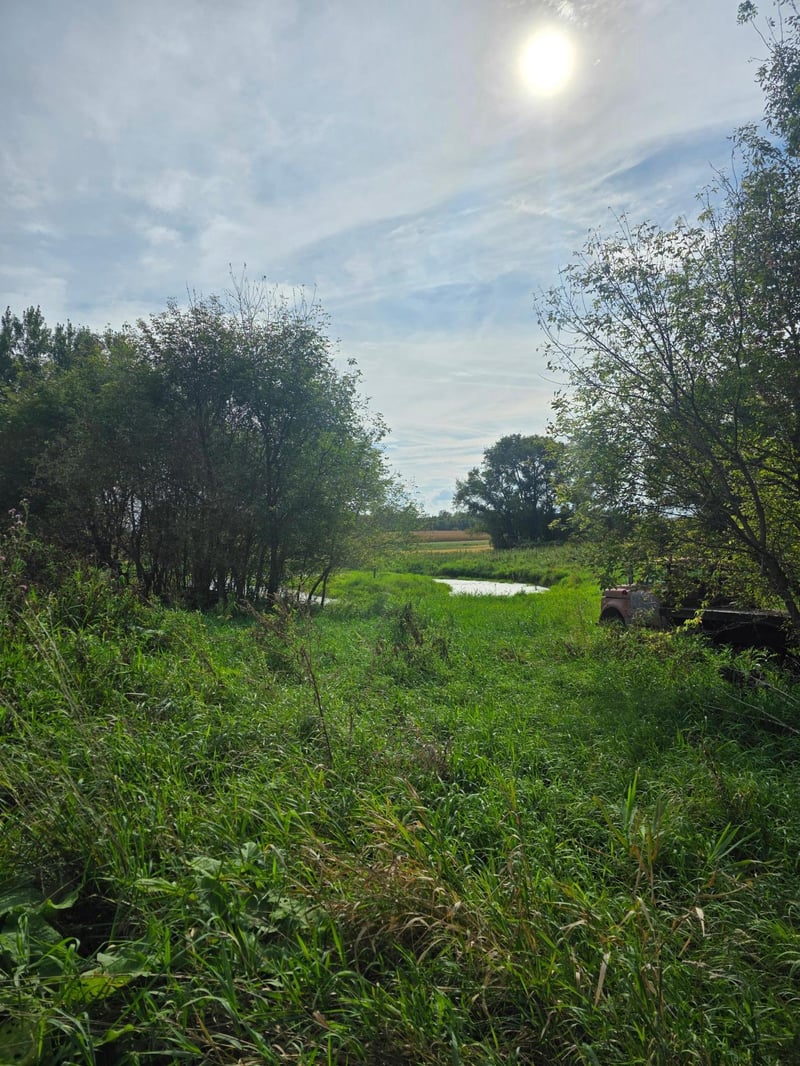 xxx 260th St, Grove City, MN 56243