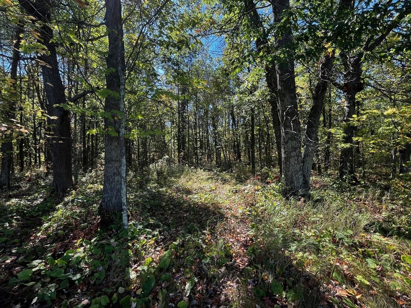 TBD County Road 2, Brainerd, MN 56401