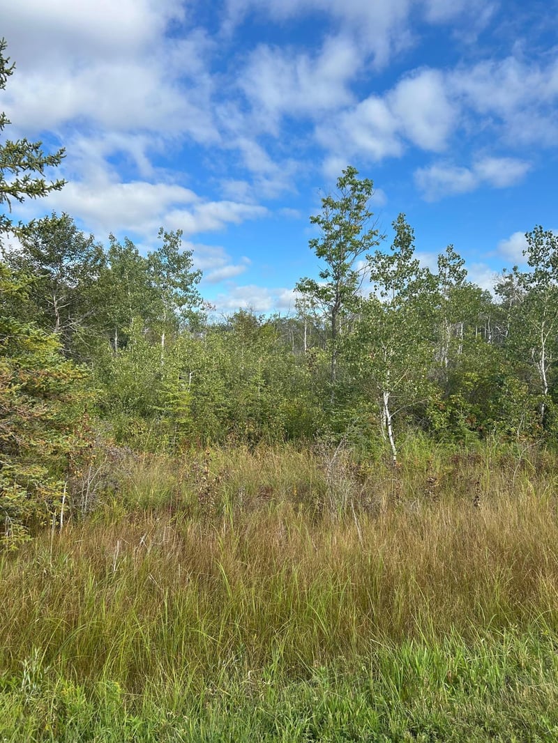 TBD 340th Ave, Roseau, MN 56751