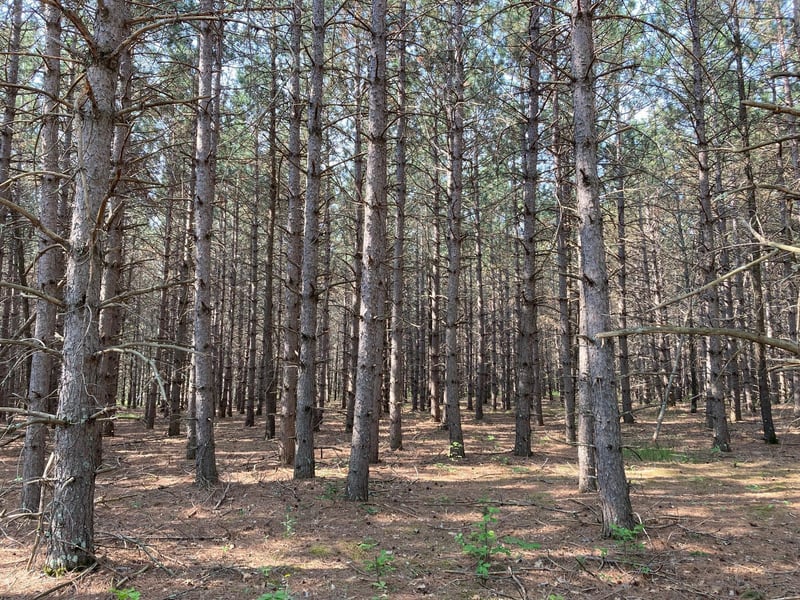 lot 2 Fawn Lake Rd, Crosslake, MN 56442
