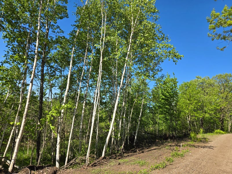 TBD 360th St, Onamia, MN 56359