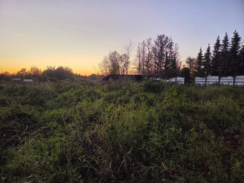 36101 Pincherry Rd, Cohasset, MN 55721