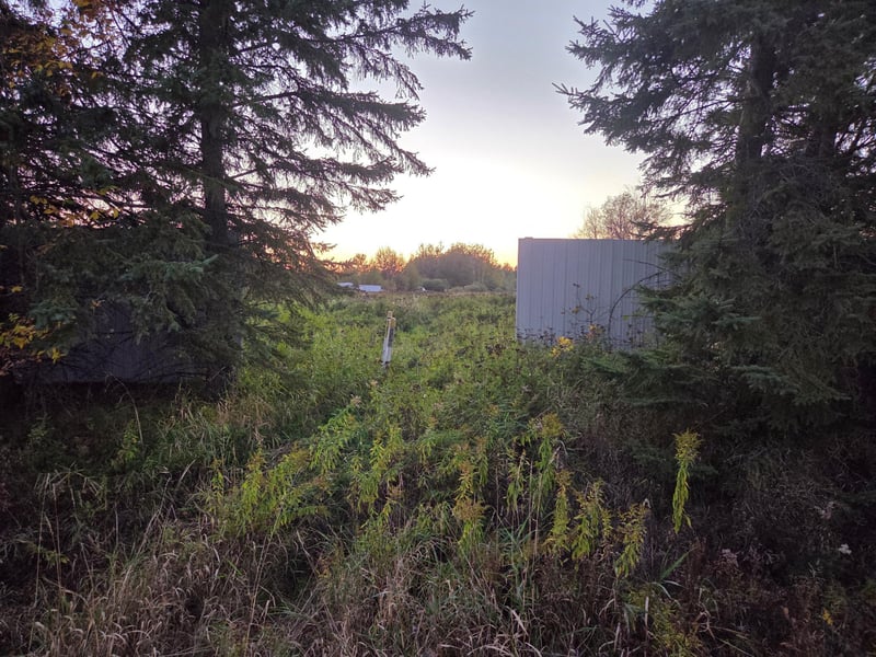 36101 Pincherry Rd, Cohasset, MN 55721