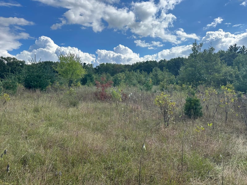 XXX 424th St, Harris, MN 55032