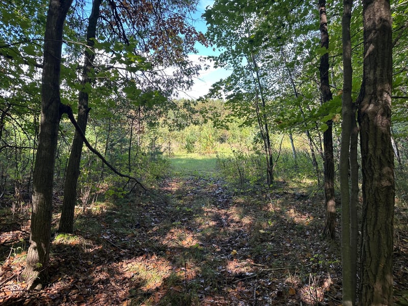 XXX 424th St, Harris, MN 55032