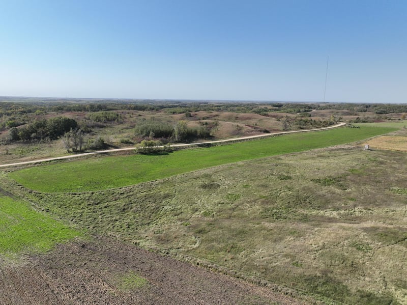 TBD 147th Ave S, Hawley, MN 56549
