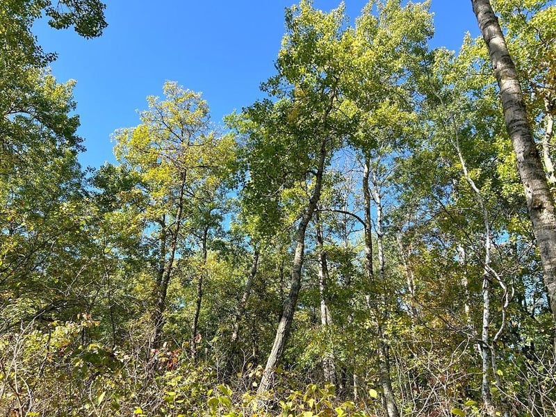 TBD State Hwy 87, Nevis, MN 56467