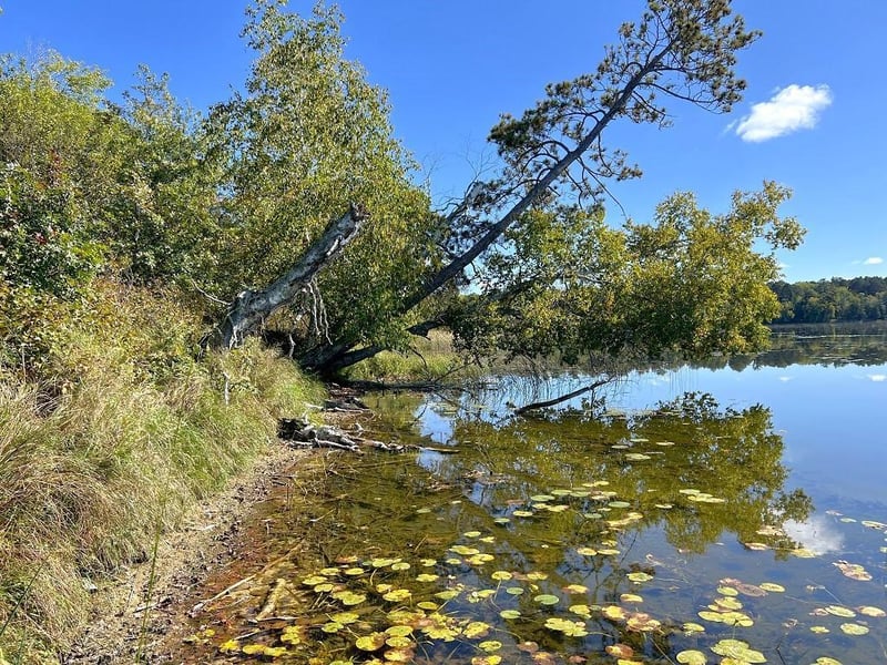 TBD State Hwy 87, Nevis, MN 56467