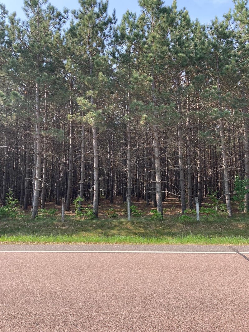 Lot 6 Fawn Lake Rd, Crosslake, MN 56472