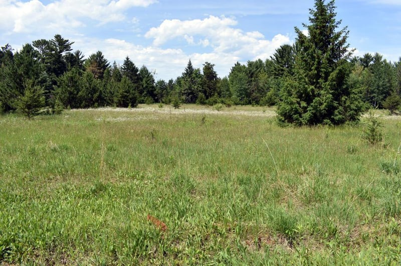 L2 B1 County Road 1, Pine River, MN 56474