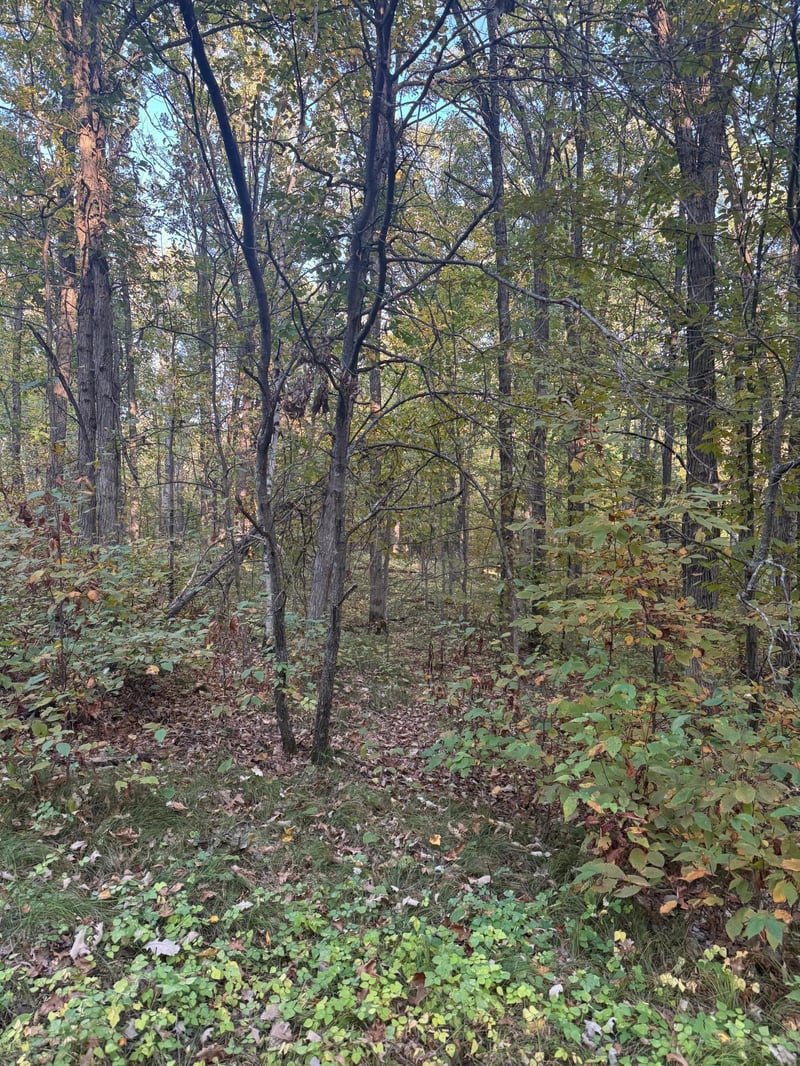 TBD Dell Marie Pl, Breezy Point, MN 56472