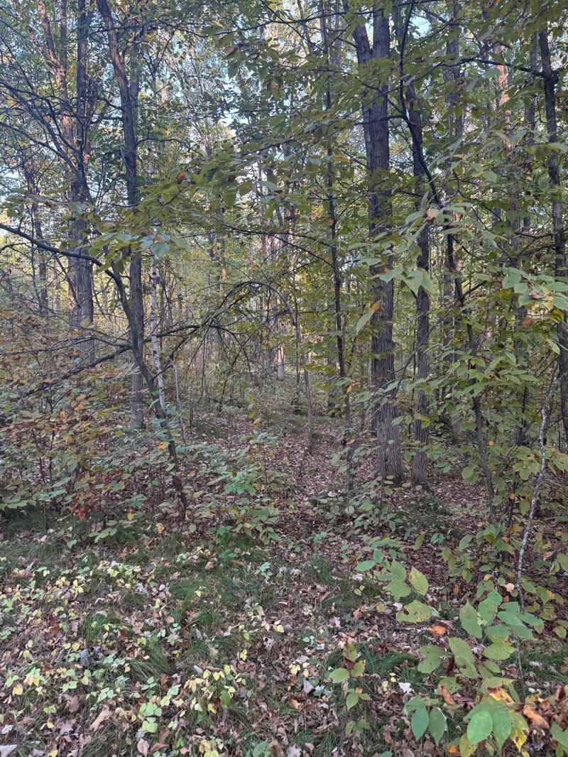 TBD Dell Marie Pl, Breezy Point, MN 56472