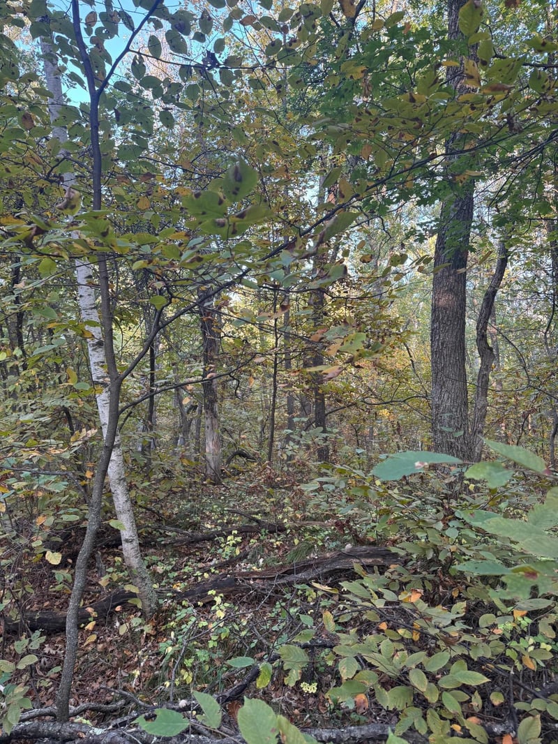 TBD Dell Marie Pl, Breezy Point, MN 56472