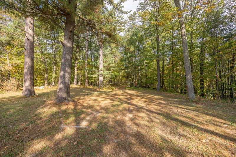 3587 State 84 NE, Longville, MN 56655