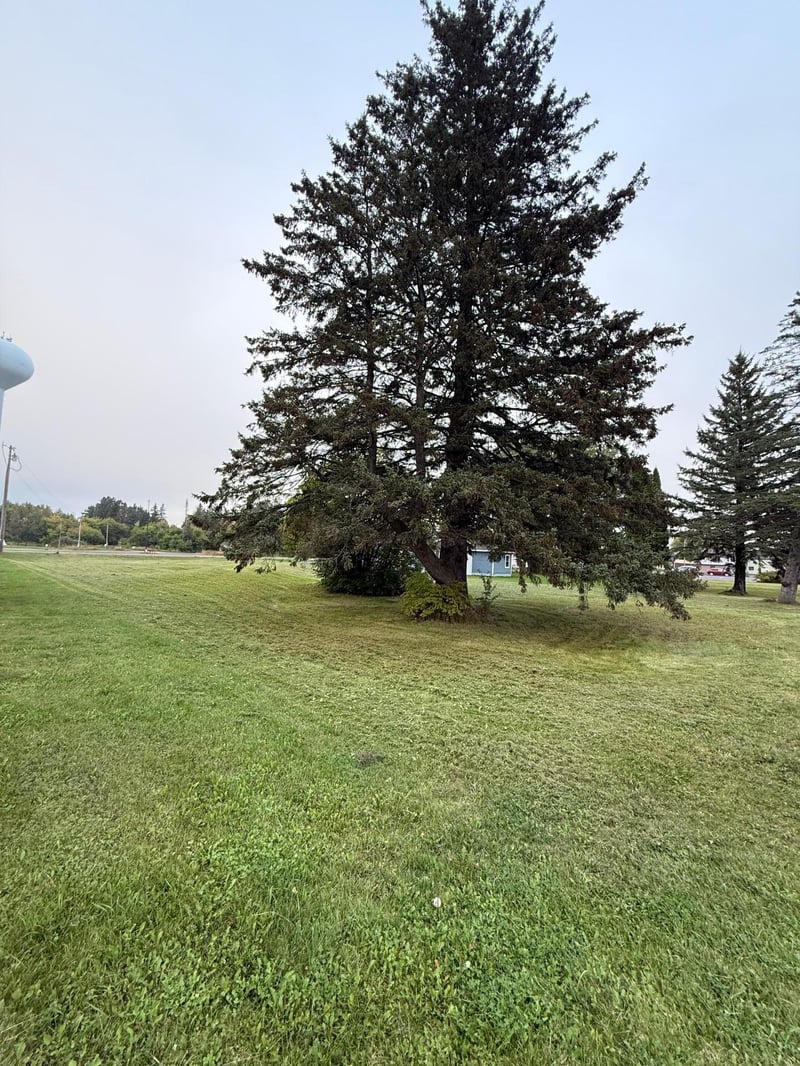 TBD Hwy 210, Carlton, MN 55718