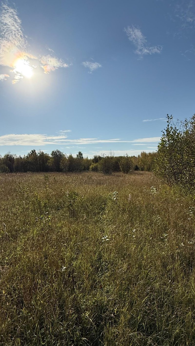 TBD N 80 Town Rd 6, Northome, MN 56661