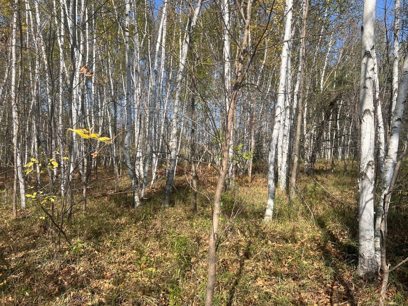 00000 County Hwy 61, Hinckley, MN 55037