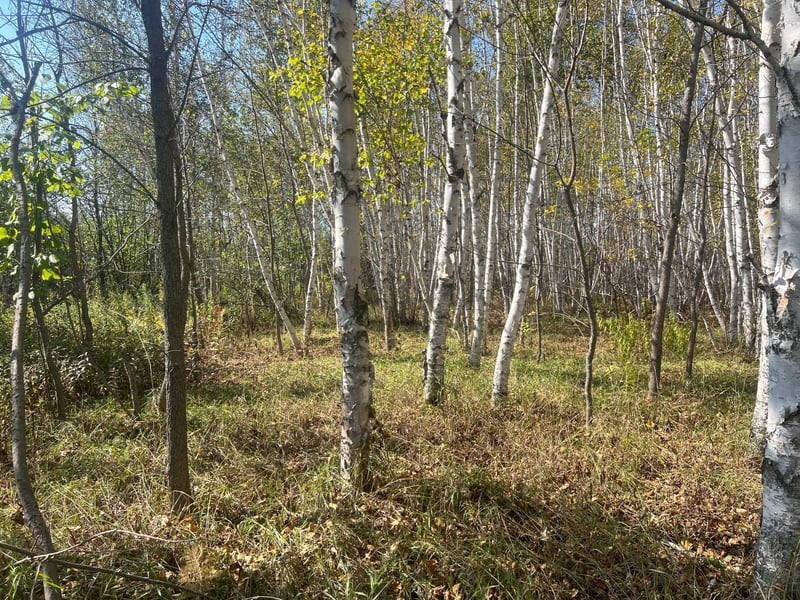 00000 County Hwy 61, Hinckley, MN 55037
