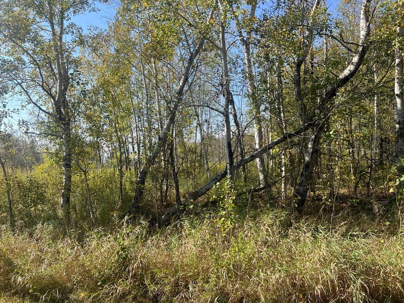 00000 County Hwy 61, Hinckley, MN 55037