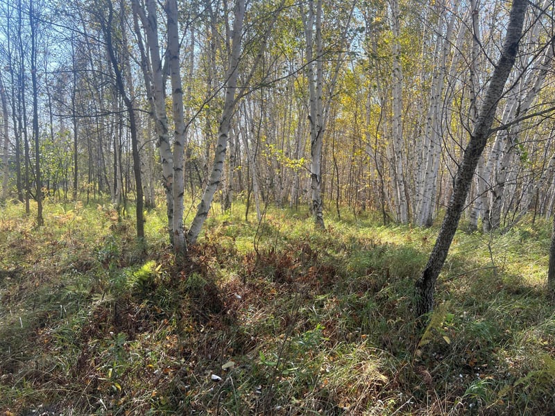 00000 County Hwy 61, Hinckley, MN 55037