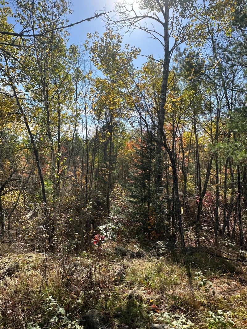 Lot 7 Wilderness Way, Cook, MN 55723