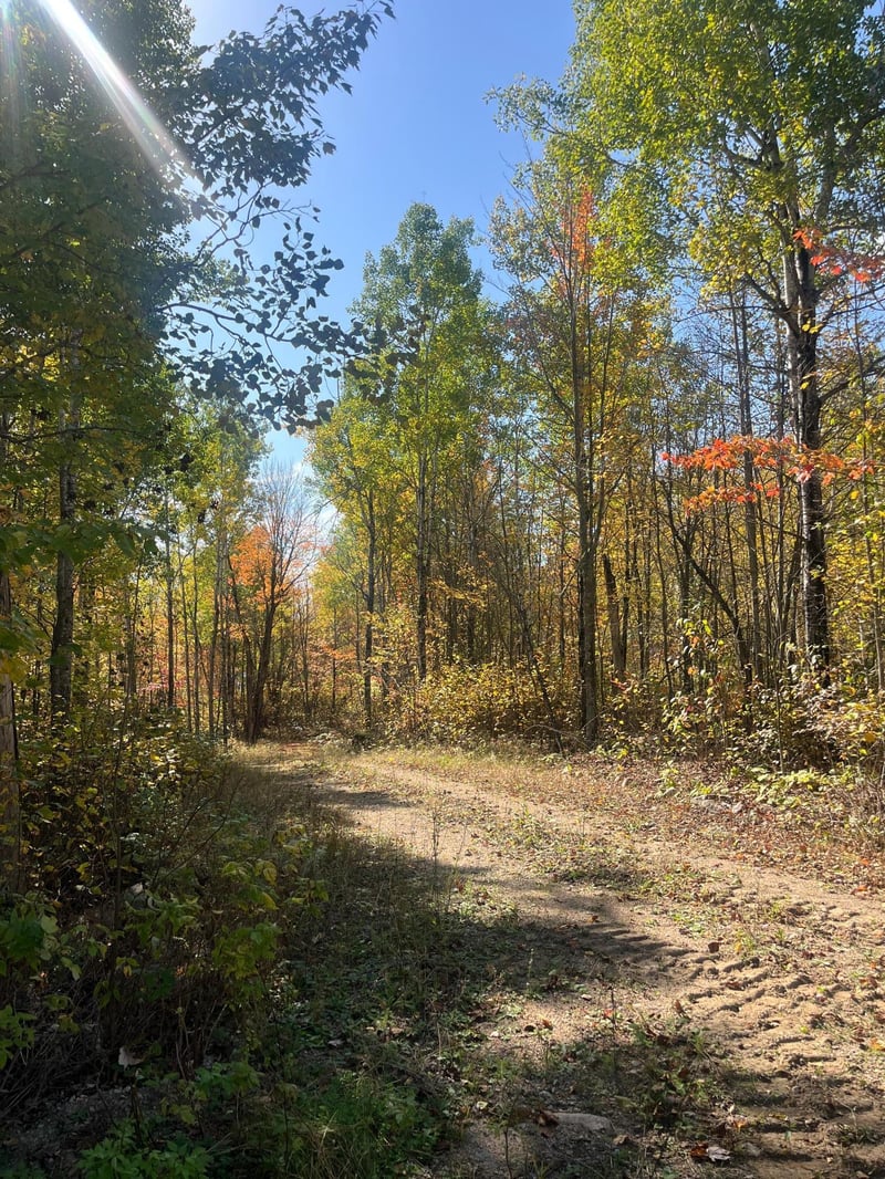 Lot 7 Wilderness Way, Cook, MN 55723