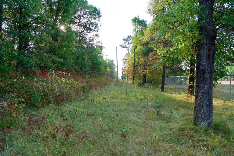 21.8 Acres Hwy 371, Brainerd, MN 56401