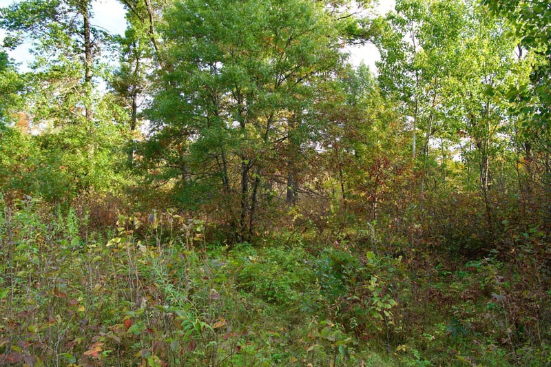 Tract C Hwy 371, Brainerd, MN 56401