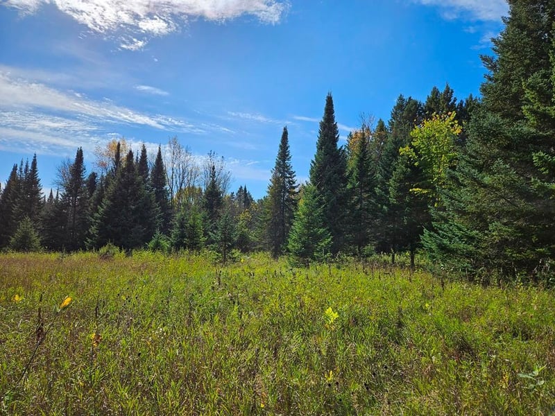 Lt 3 Blk 1 County Rd 238, Deer River, MN 56636