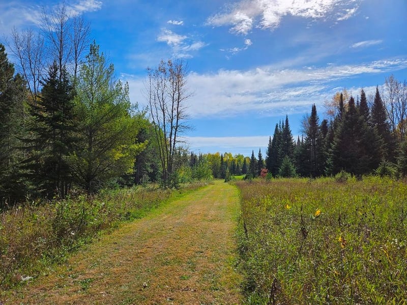 Lt 3 Blk 1 County Rd 238, Deer River, MN 56636