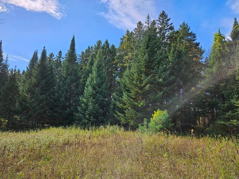 Lt 3 Blk 1 County Rd 238, Deer River, MN 56636