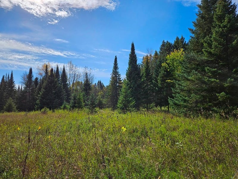 Lt 3 Blk 1 County Rd 238, Deer River, MN 56636