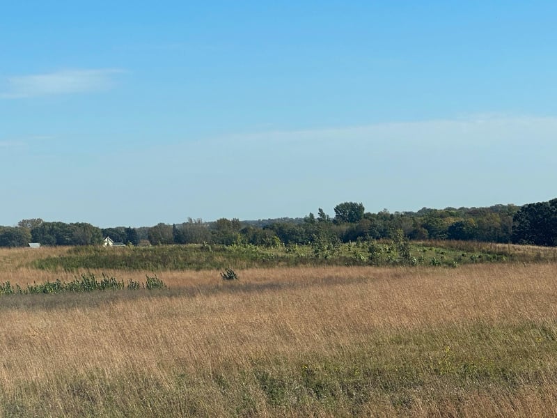 64.4 acres Westridge Ln, Hoffman, MN 56339