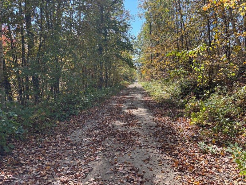 TBD County Road 12, Akeley, MN 56433