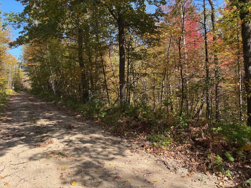 TBD County Road 12, Akeley, MN 56433
