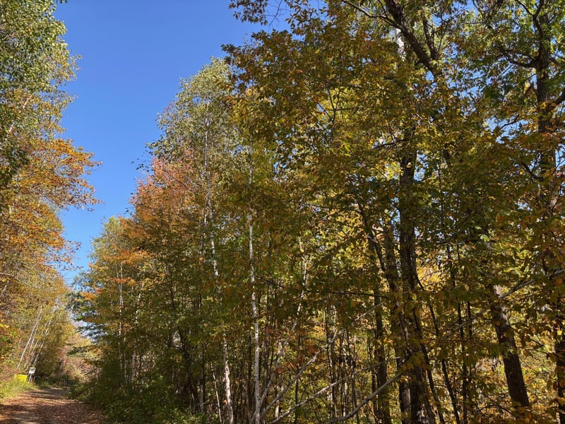 TBD County Road 12, Akeley, MN 56433
