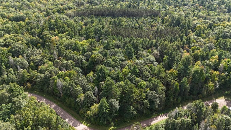 TBD Bean Brook Ln, Stone Lake, WI 54876